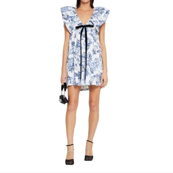 Tuckernuck O.P.T. Didi Mini Dress Blue Floral Toile Bow Babydoll Medium - Picture 2 of 11